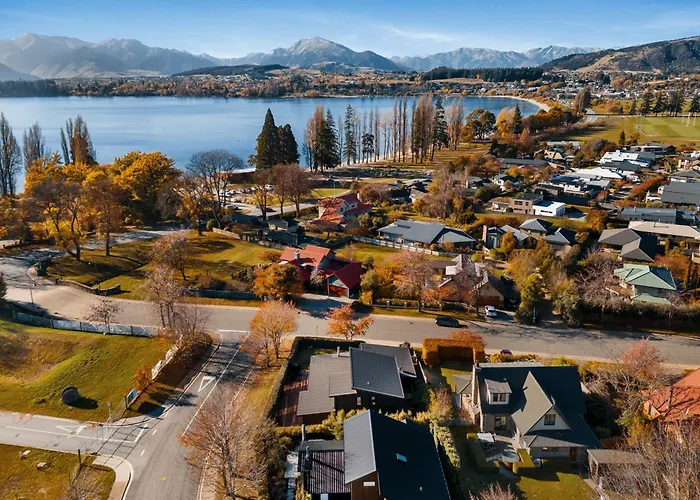 Lake Living: That Wanaka Tree