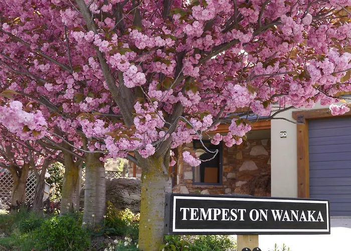 Tempest On Wanaka